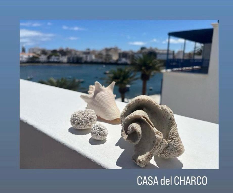 Casa Del Charco 2,0 Villa อาร์เรซิเฟ ภายนอก รูปภาพ
